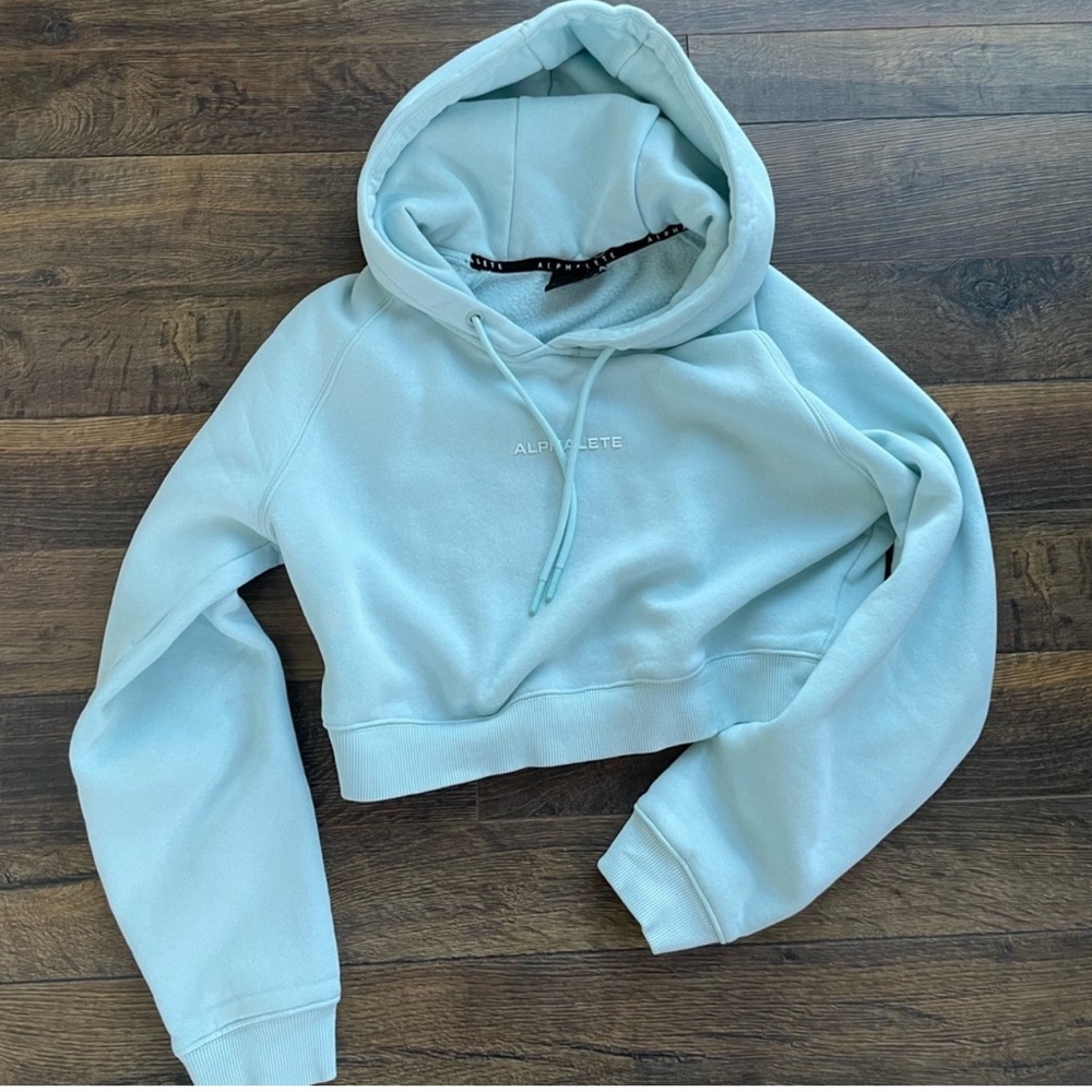 ALPHALETE Cropped hoodie in size Small